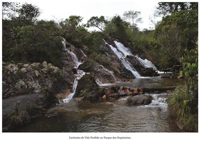  4 z- Cachoeira do Vale Perdido no Vale do Pequizeiro Água límpida e branca, sobre as pedras que desagua no rio, rodeada por arvoredo. Realização: Academia Planaltinense de Letras, Artes e Ciências (APLAC), pelo Ecomuseu Pedra Fundamental e pelo Coletivo Nativo Audiodescrição produzida  pelo Instituto de Promoção das Pessoas com Deficiência Visual Audiodescritora: Elma Lúcia Rodrigues Consultor: Fernando Rodrigues Este projeto é promovido com recursos do Fundo de Apoio a Cultura do DF